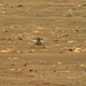 Life on Mars